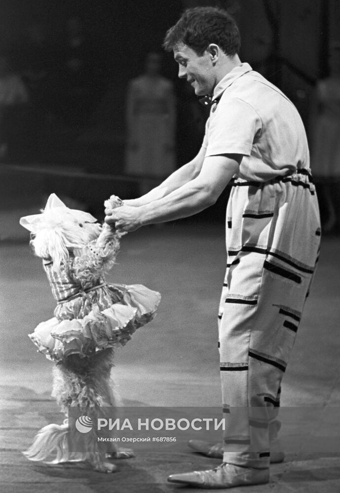 Клоун Евгений Майхровский