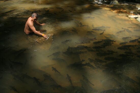Озеро под водопадом Пхлиу