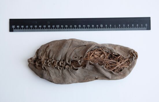 Древнейший кожаный "ботинок"