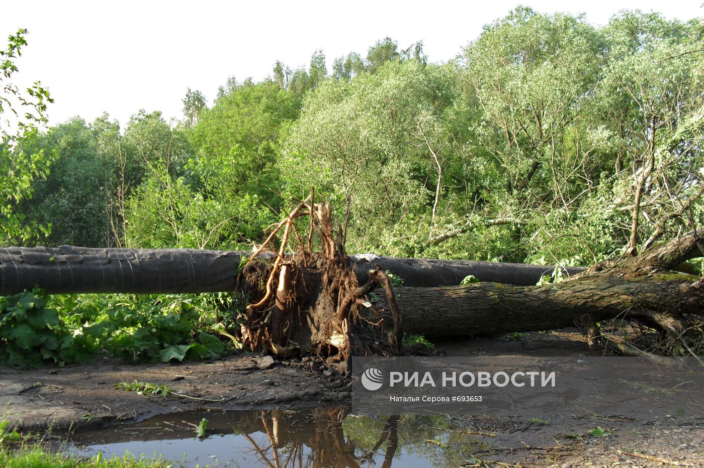 Последствия урагана в Ивановской области