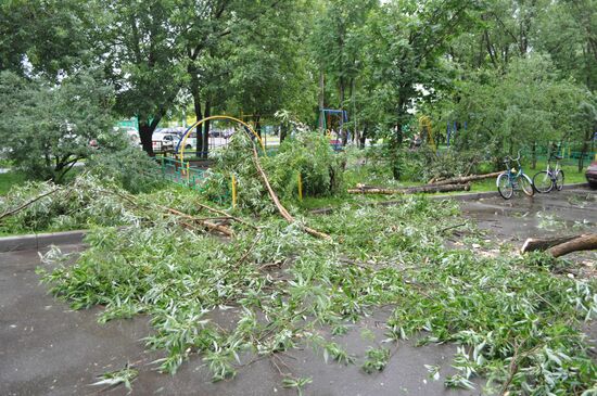 Последствия урагана в районе Гольяново в Москве