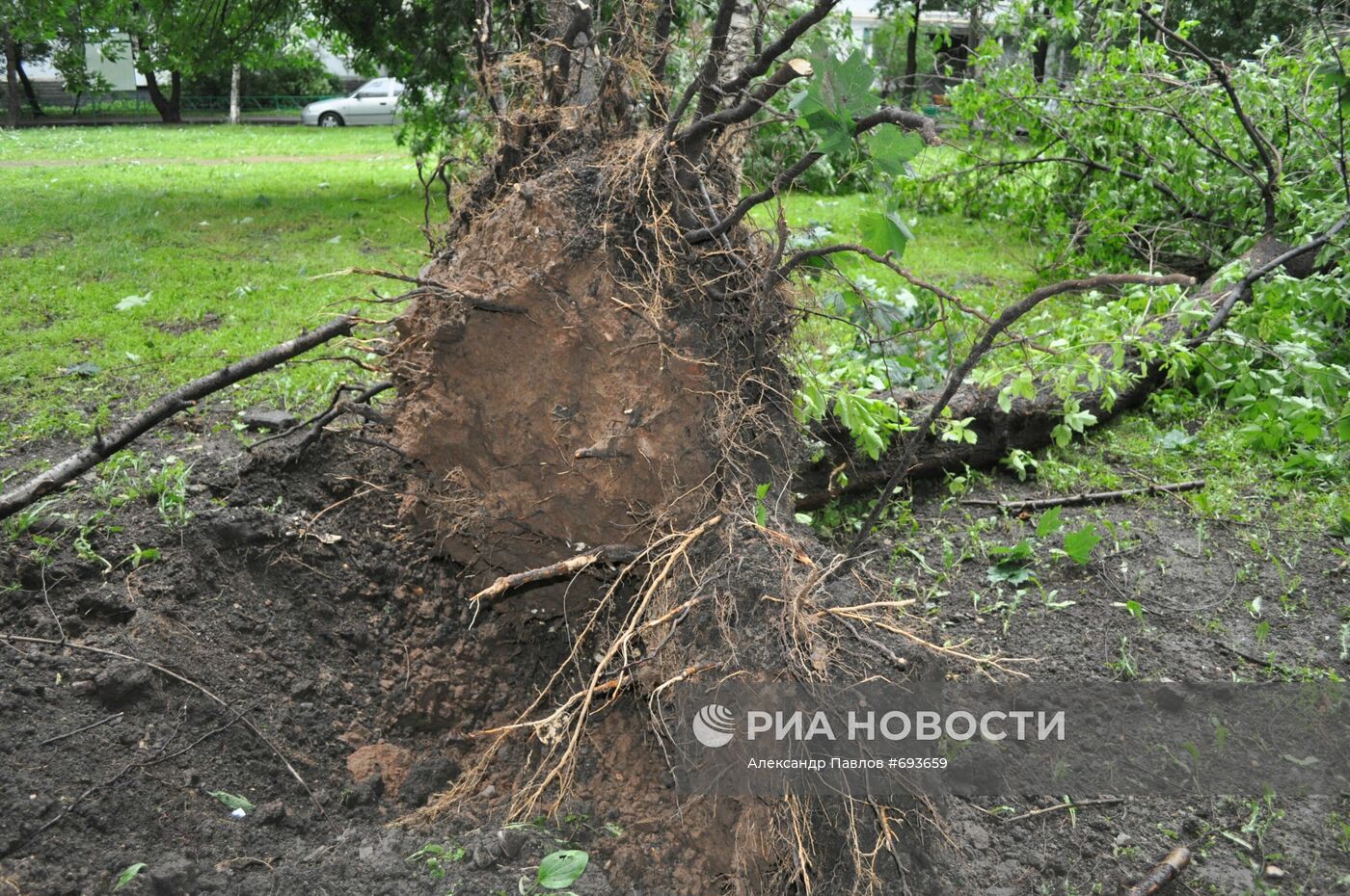Последствия урагана в районе Гольяново в Москве