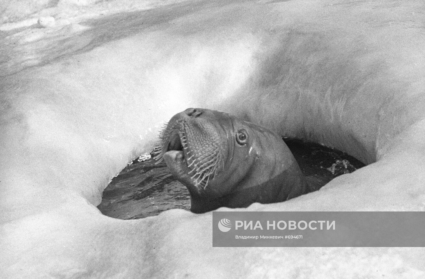 Московский зоопарк