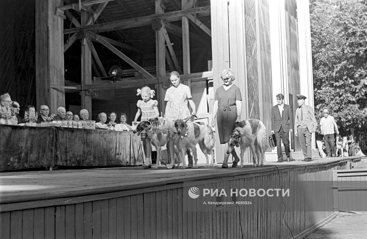 Московская выставка охотничьих собак