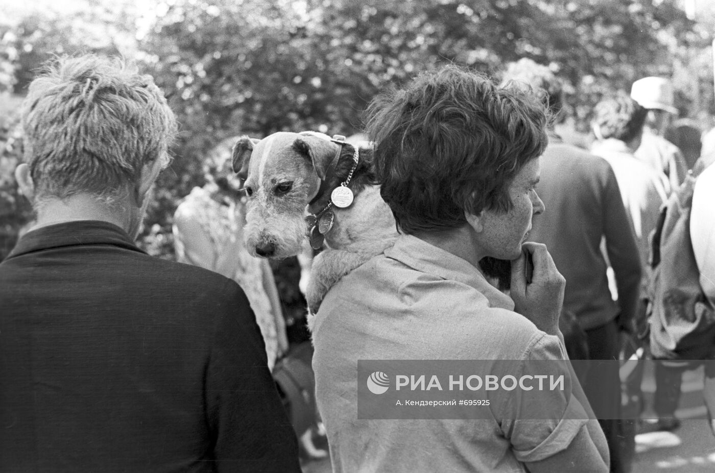 Московская выставка охотничьих собак