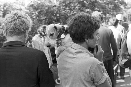 Московская выставка охотничьих собак