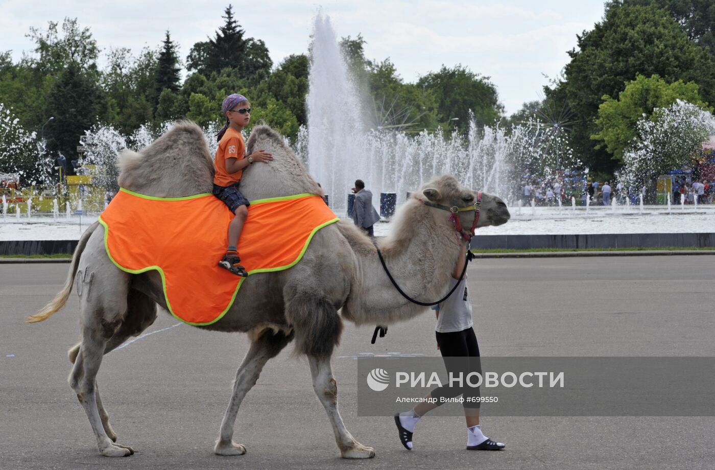 Катание на верблюде