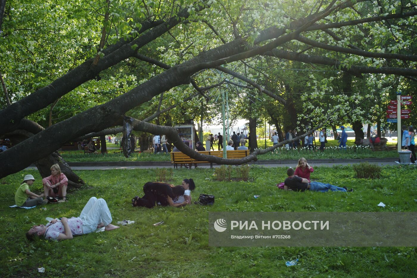 Жара в Москве