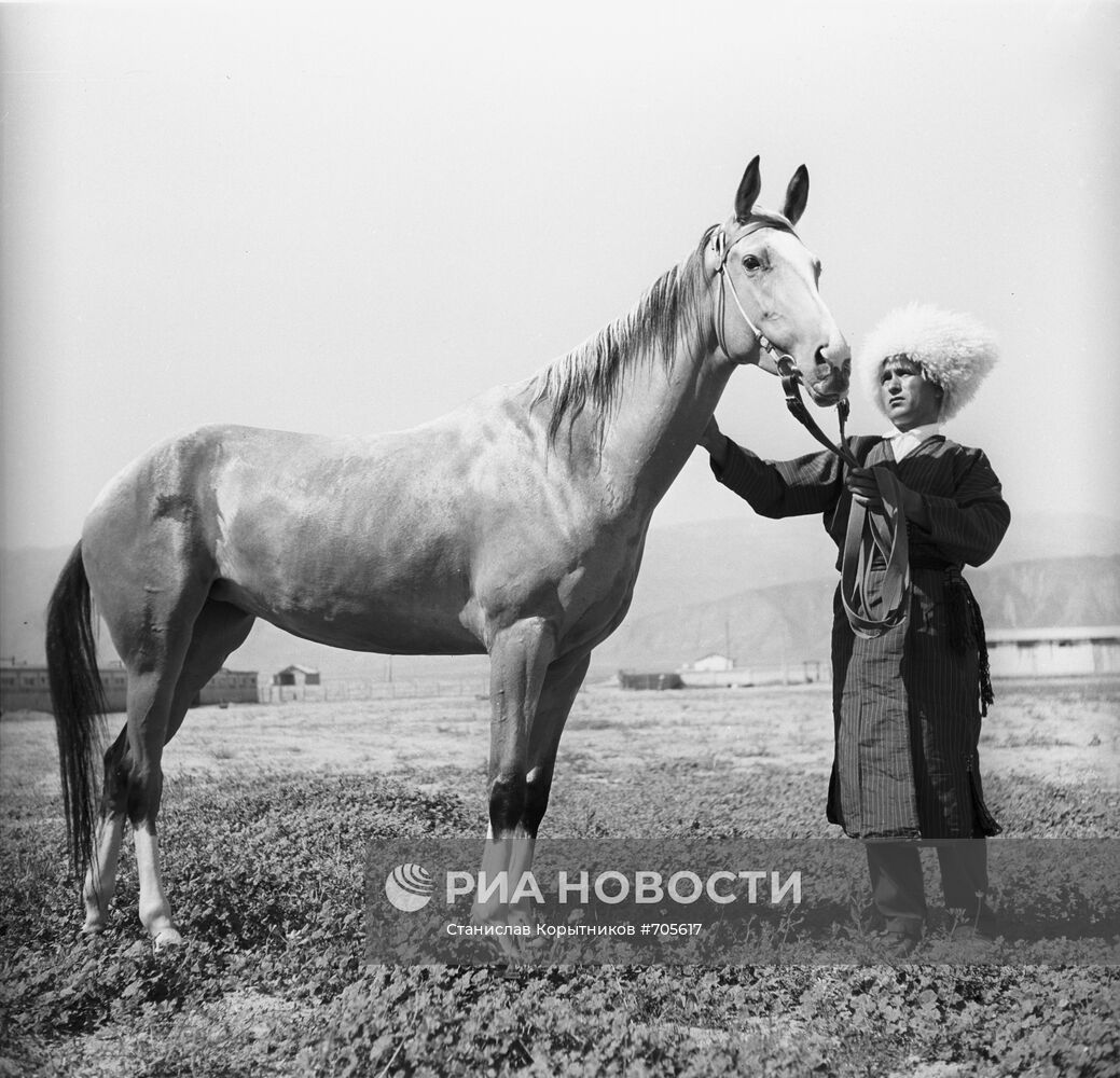 Конюх конного завода "Комсомол" К.Сарыев с кобылой Пери