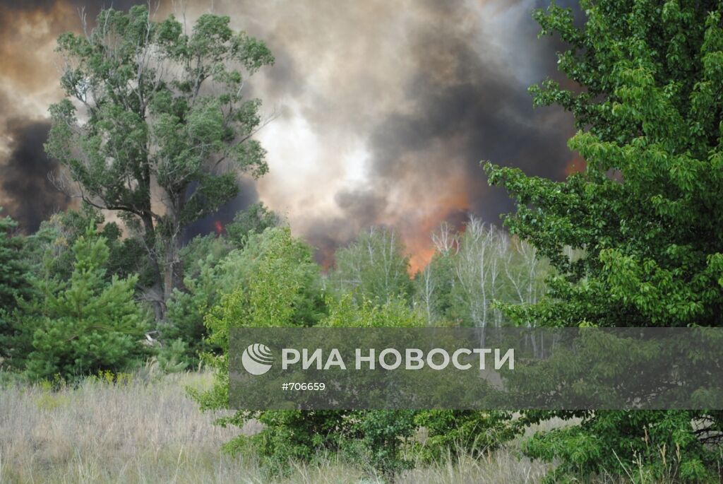 Лесные пожары в Ростовской области