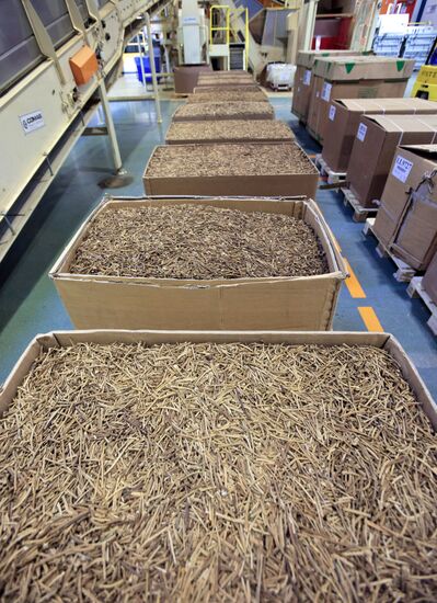 Участок загрузки табака