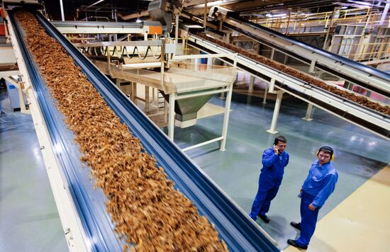 Табачный цех