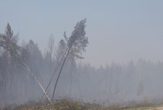 Из-за пожара в лесах Марий Эл перекрыта федеральная трасса