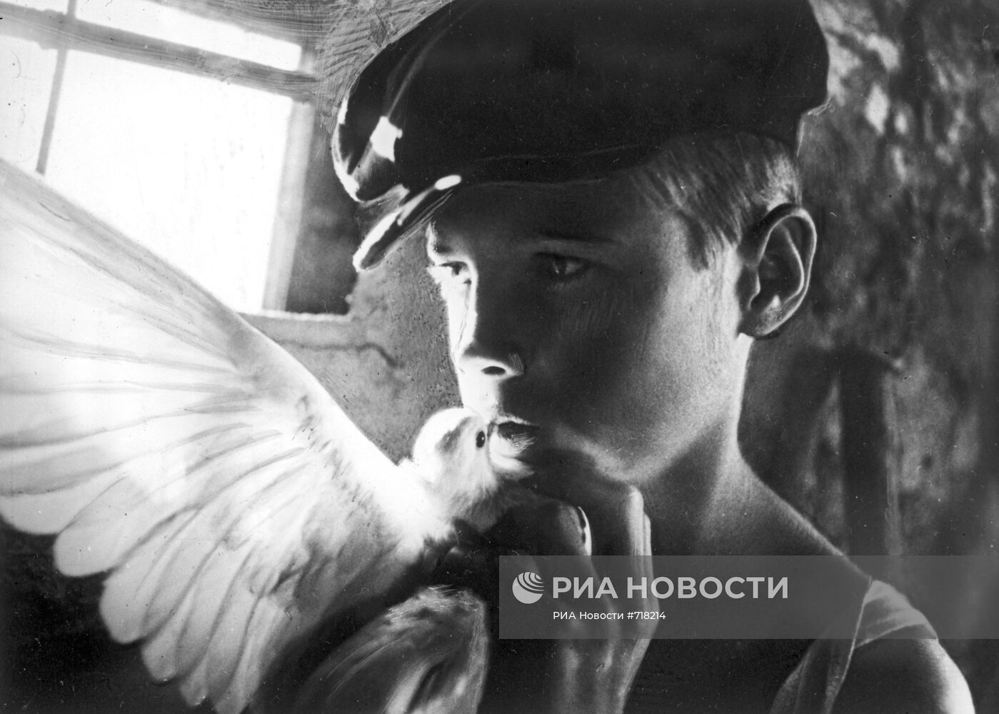 Кадр из фильма "Чужая Белая и Рябой"