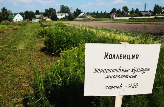 Тяжба за опытные земли Павловской станции ВНИИ растениеводства
