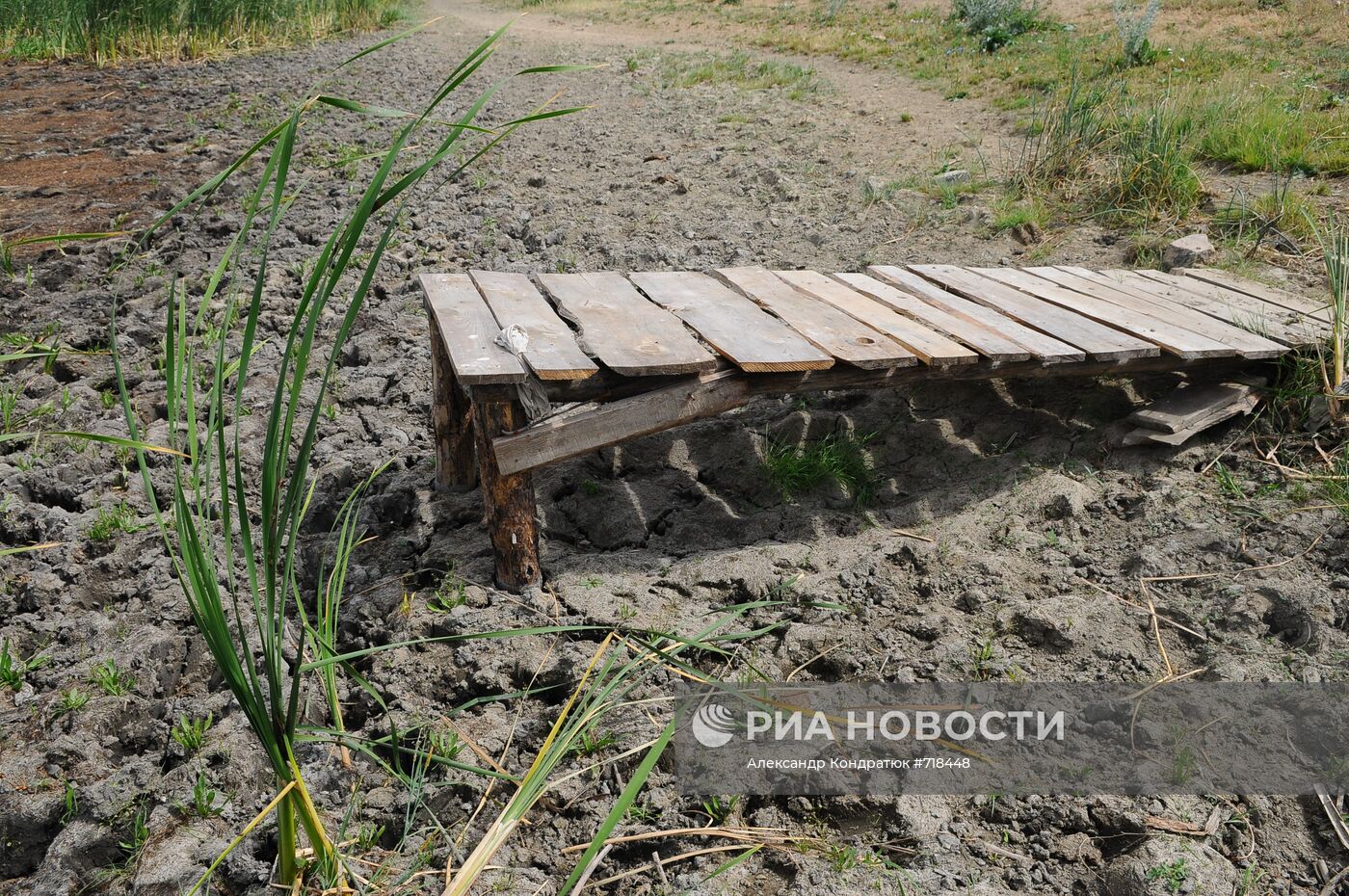 Засуха в Челябинской области