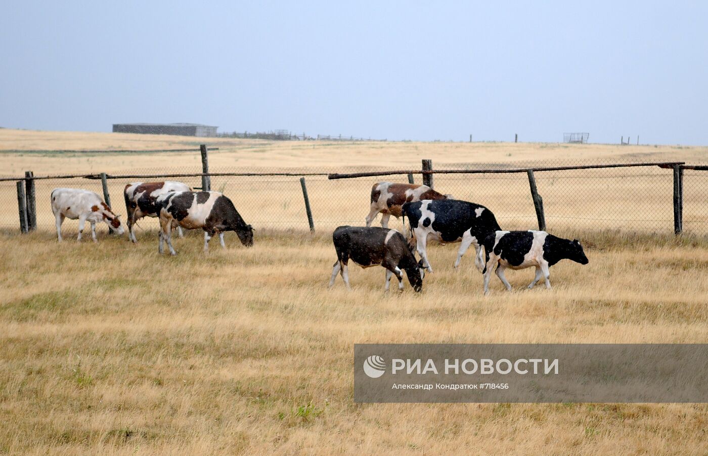 Засуха в Челябинской области