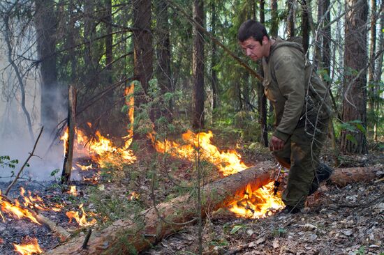 Тушение лесного пожара в Нижегородской области