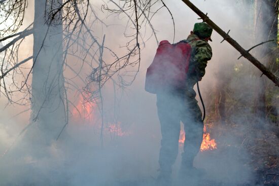 Тушение лесного пожара в Нижегородской области