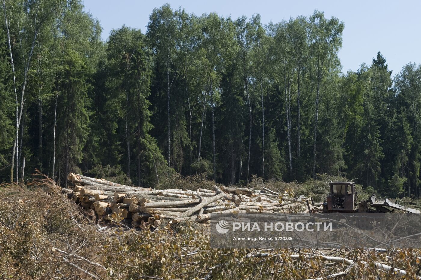 Вырубка Химкинского леса началась со стороны "Шереметьево"