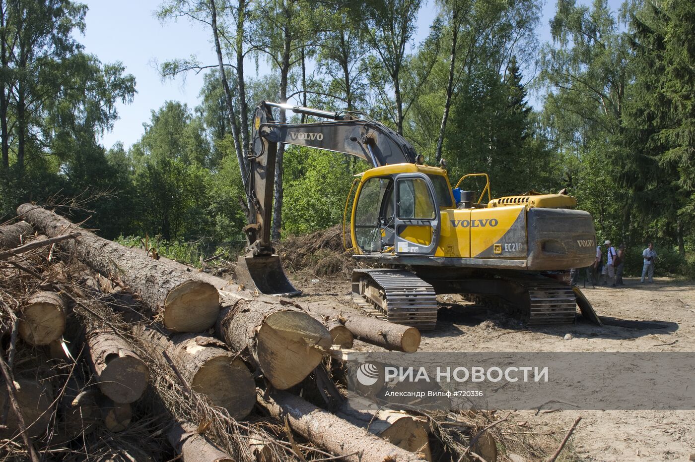 Вырубка Химкинского леса началась со стороны "Шереметьево"
