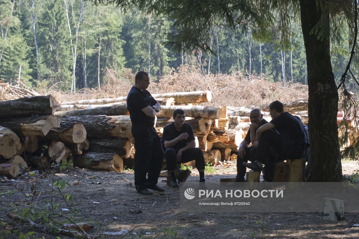 Вырубка Химкинского леса началась со стороны "Шереметьево"