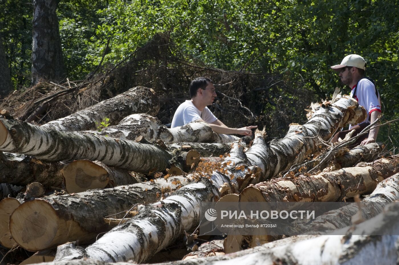 Вырубка Химкинского леса началась со стороны "Шереметьево"