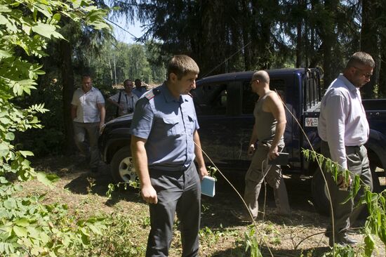 Вырубка Химкинского леса началась со стороны "Шереметьево"