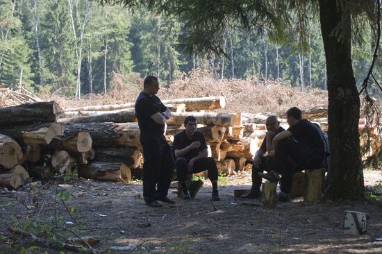 Вырубка Химкинского леса началась со стороны "Шереметьево"