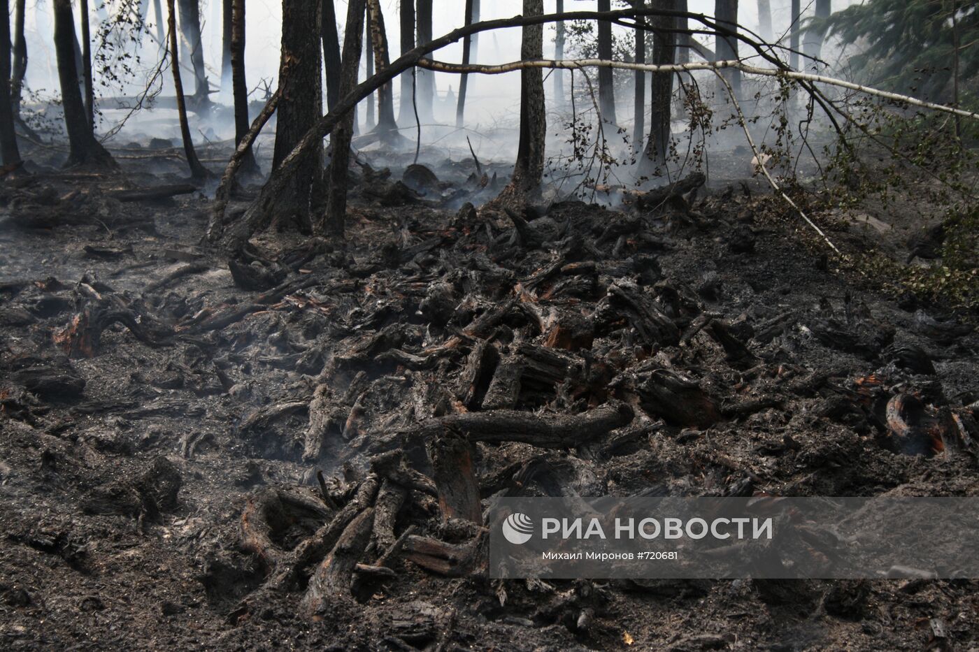 Тушение торфяных пожаров в Подмосковье