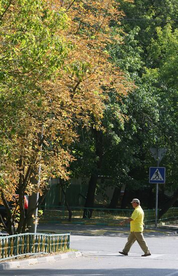 В Москве начали желтеть деревья из-за аномальной жары
