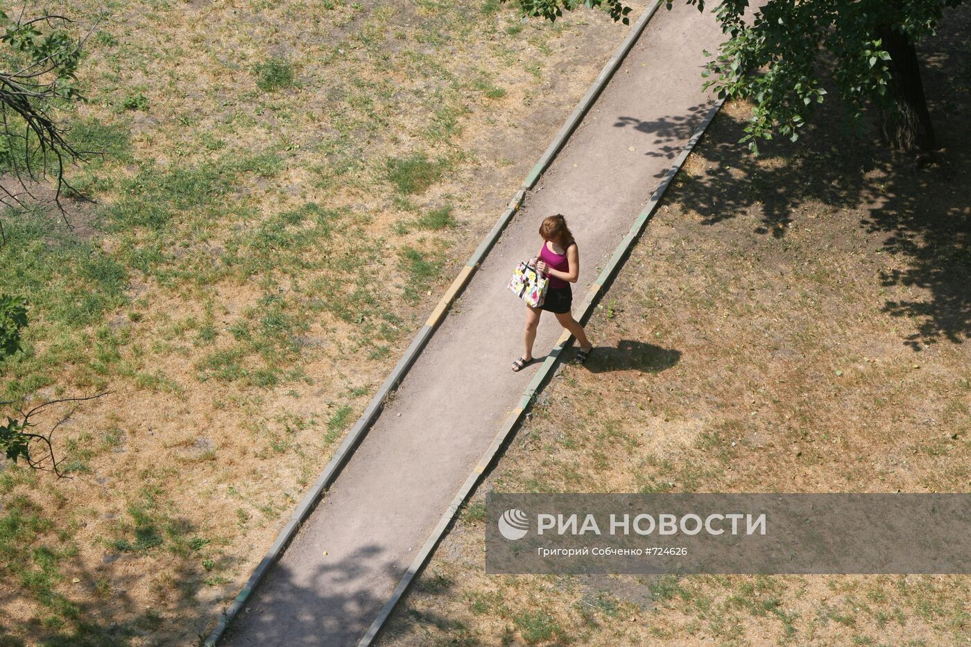 Пожелтевшая трава на улицах Москвы