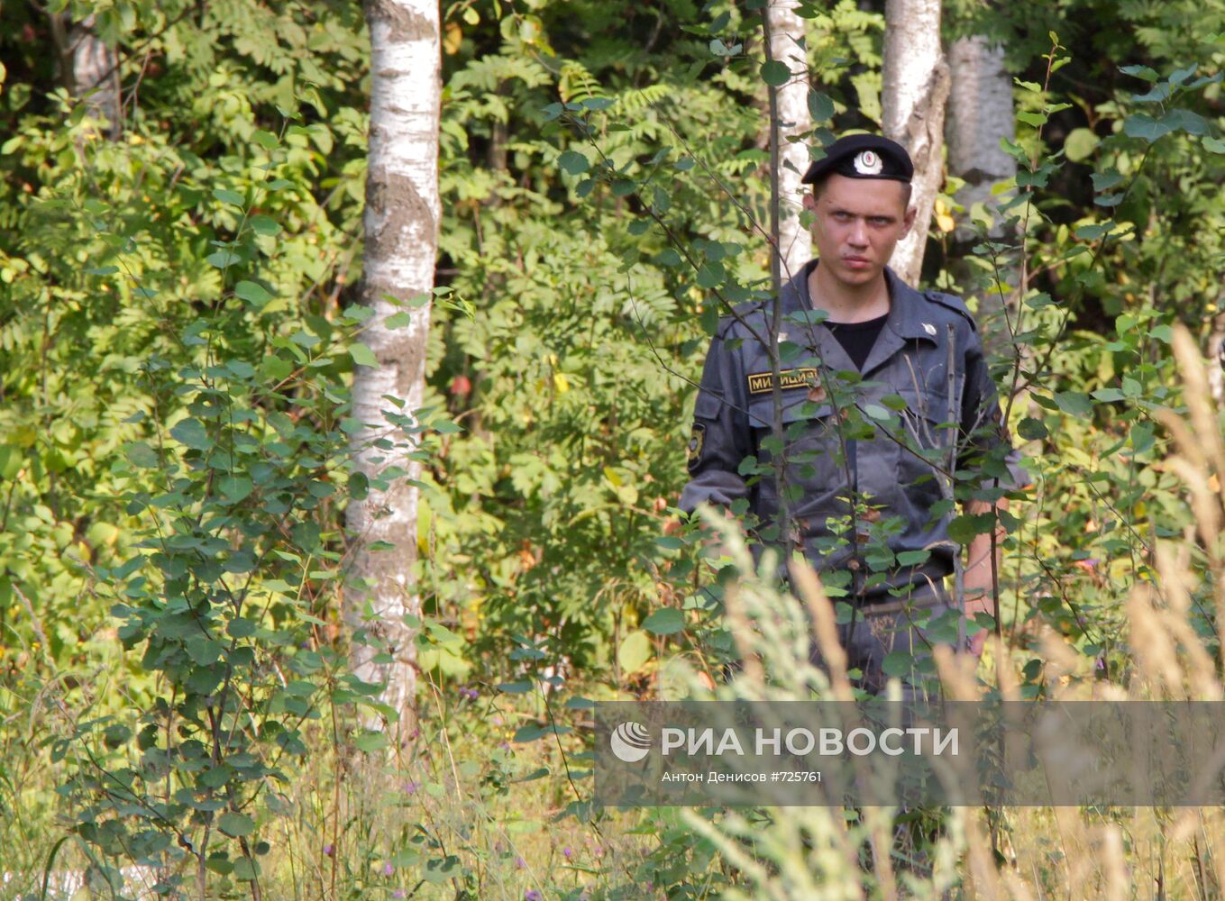 Оцепление места вырубки деревьев в Химкинском лесу