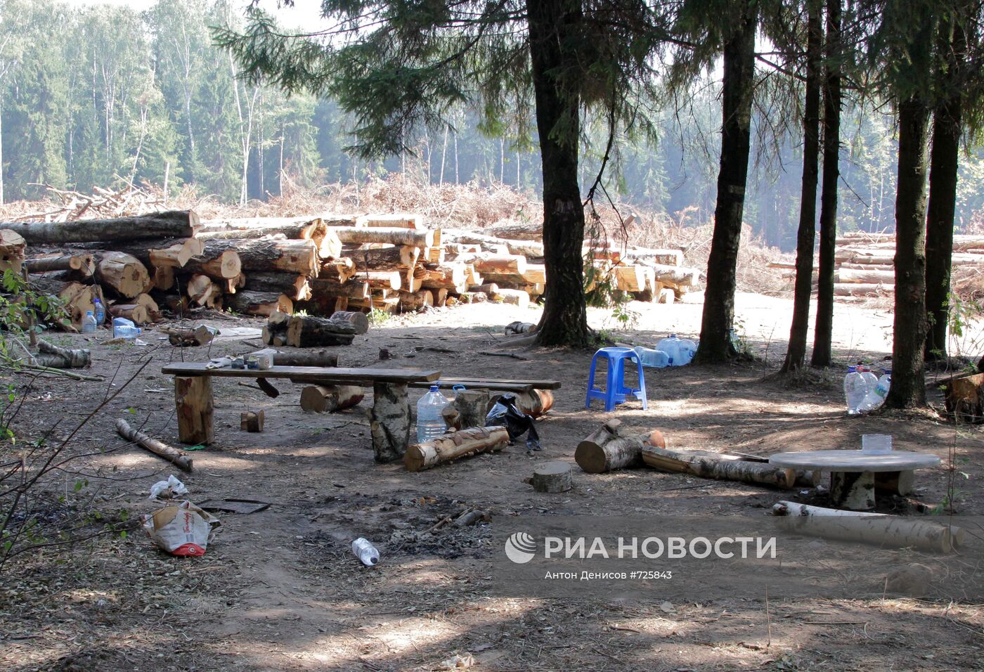 Ситуация в Химкинском лесу