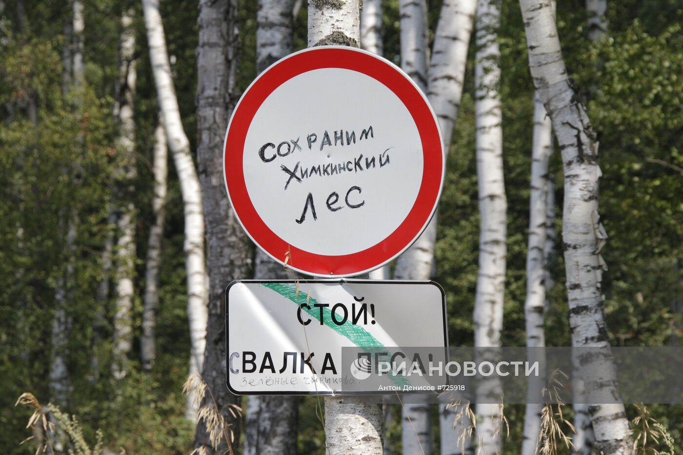 Ситуация в Химкинском лесу