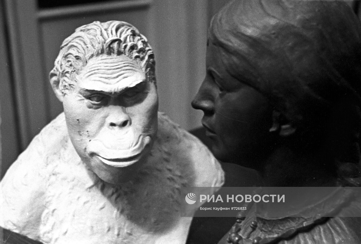 Портреты женщин - парантропа и из славянских племен вятичей