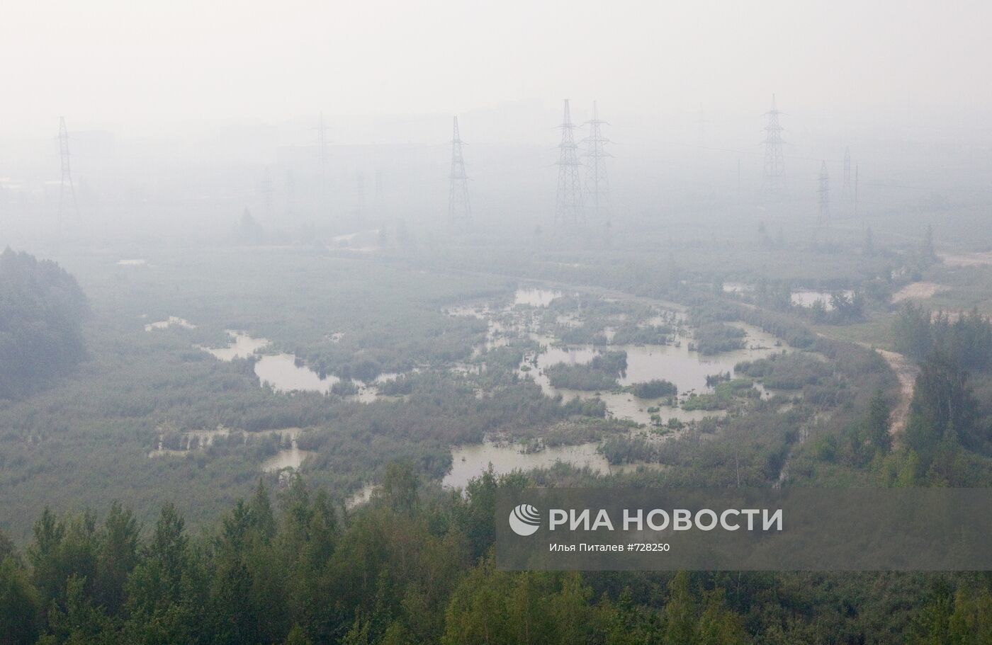 Дым над лесом в Егорьевском районе Московской области