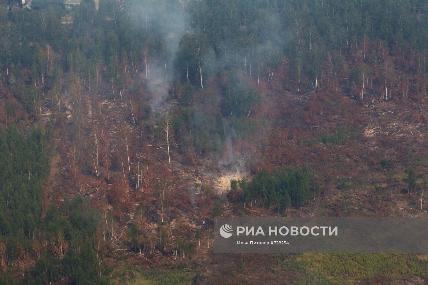 Дымящийся лес в Егорьевском районе Московской области