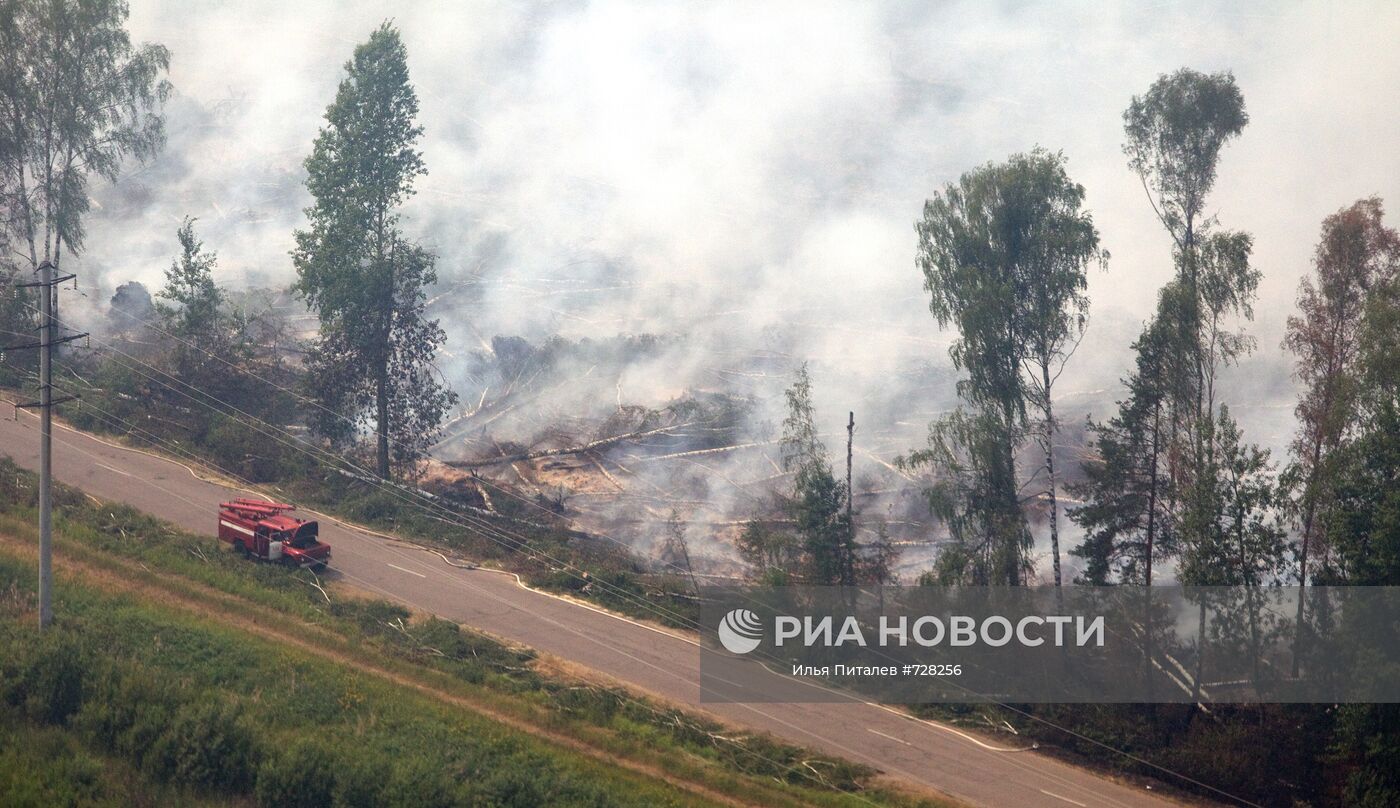 Пожар лета 2010. Пожар торфяников в Москве 2010. Лесоторфяные пожары Подмосковья 2010.