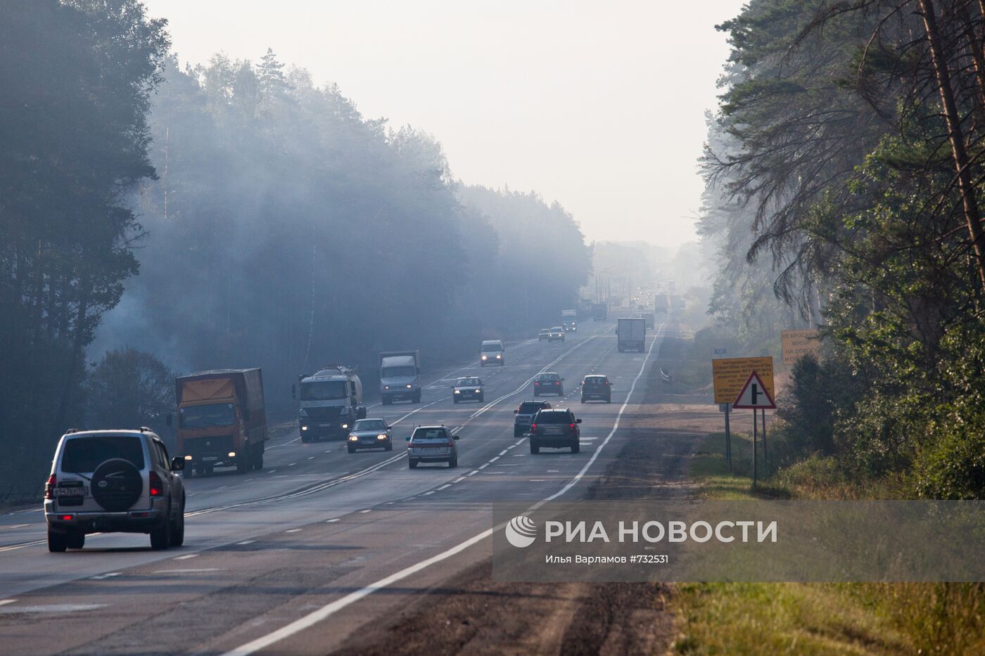 Лесные пожары в Московской области