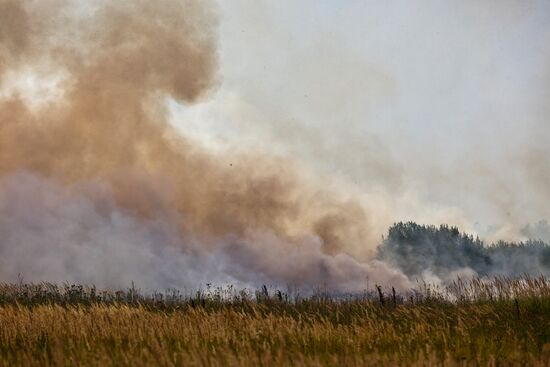 Лесные пожары в Московской области