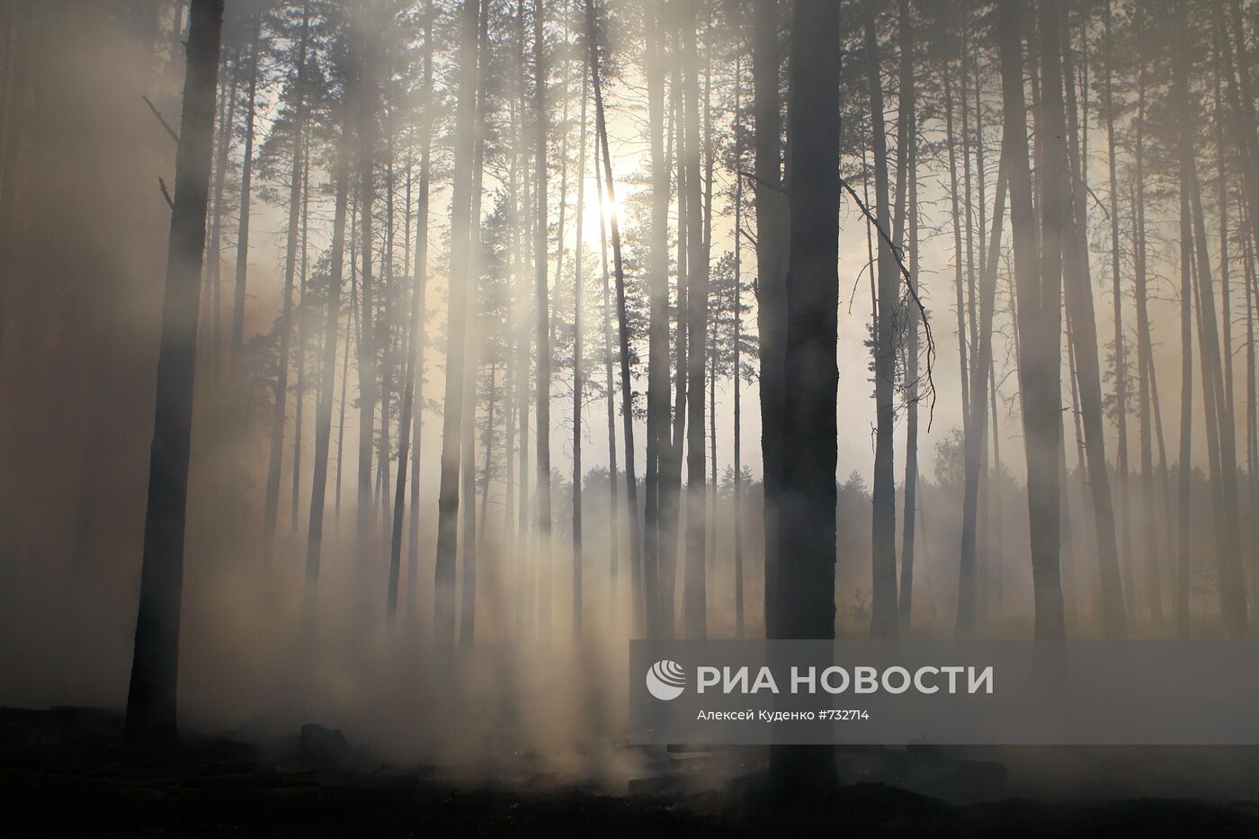 Лесные пожары в Воронежской области