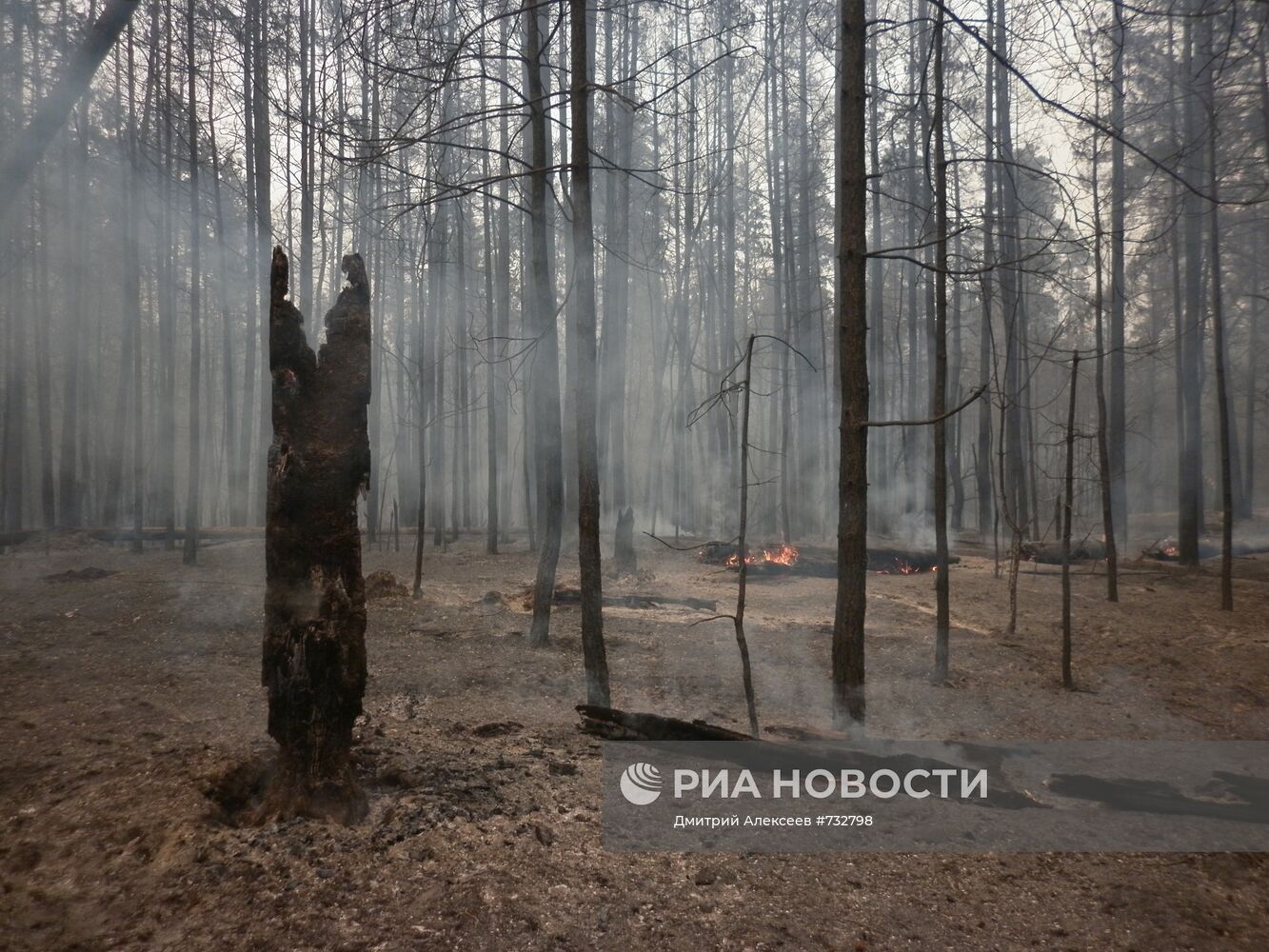 Лесные пожары в Тольятти