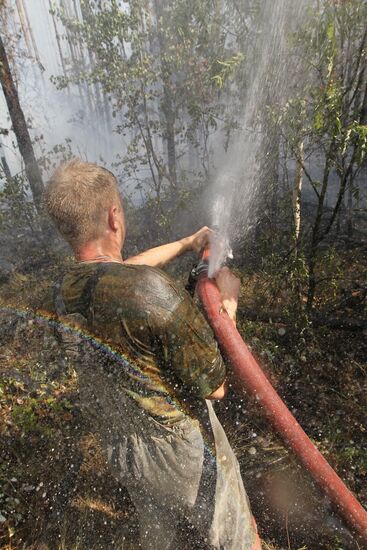 Тушение пожара в лесу у поселка Сосновый бор