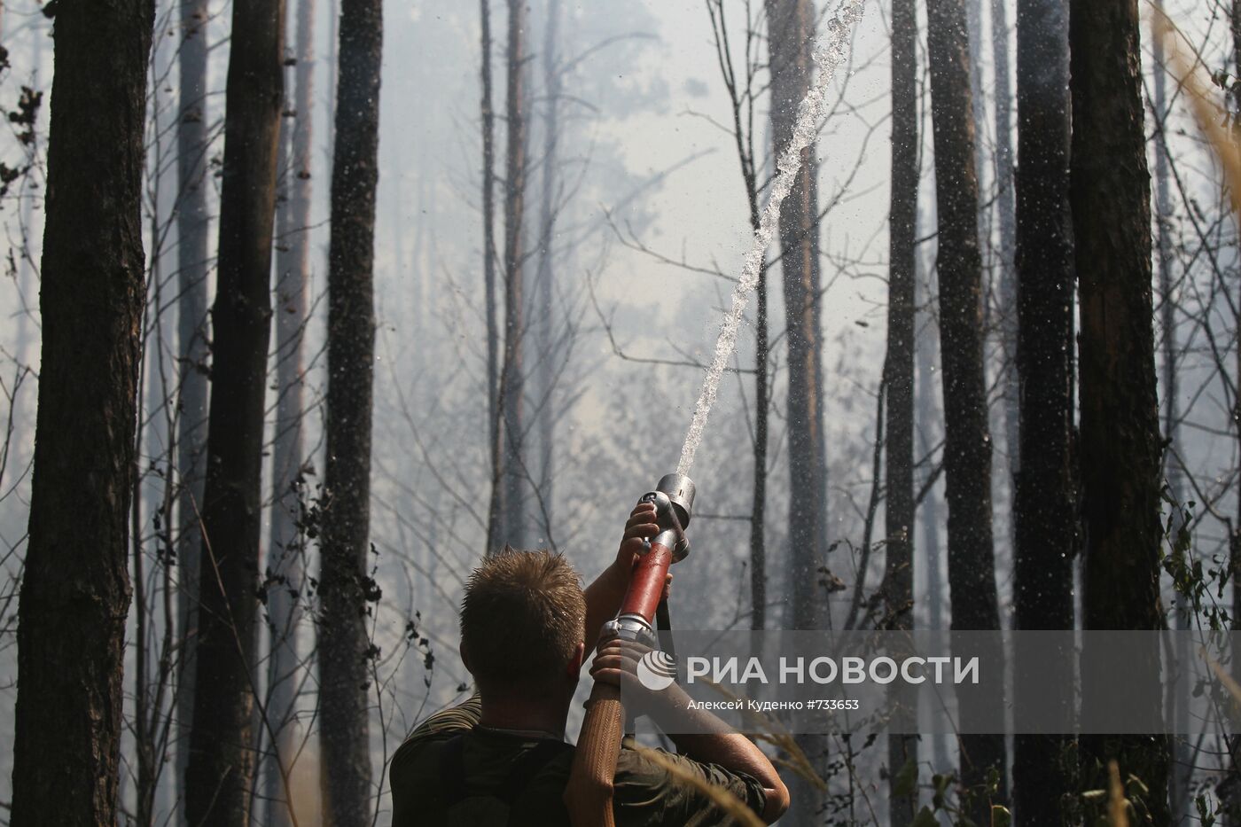 Тушение пожара в лесу у поселка Сосновый бор