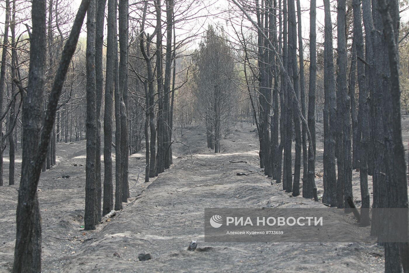 Последствия пожара в окрестностях села Шуберское