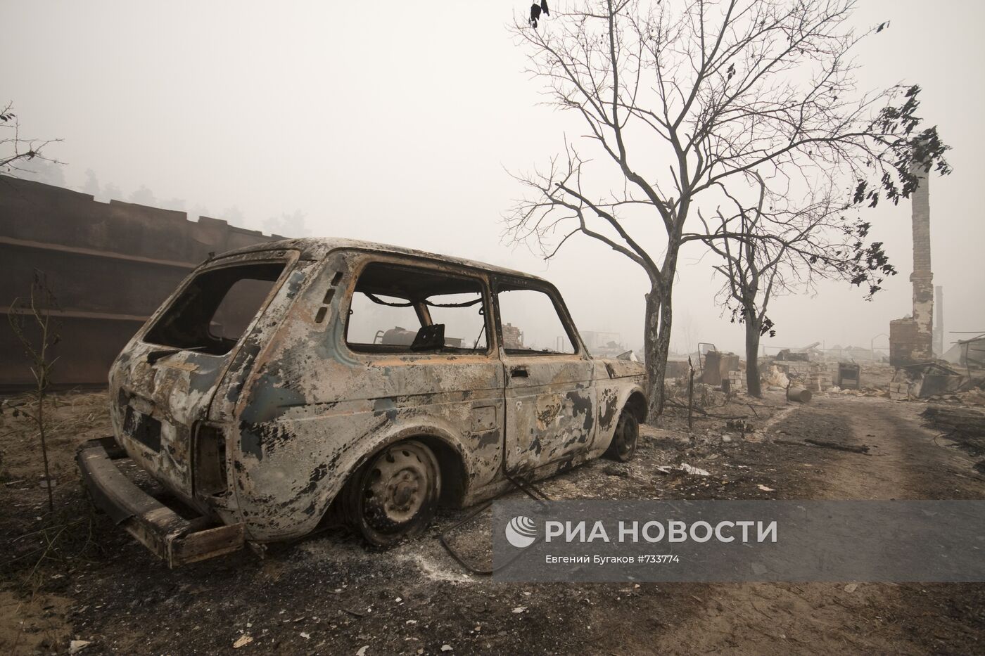 Последствия природных пожаров в Рязанской области