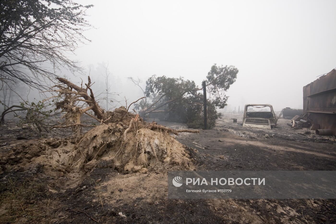 Последствия природных пожаров в Рязанской области