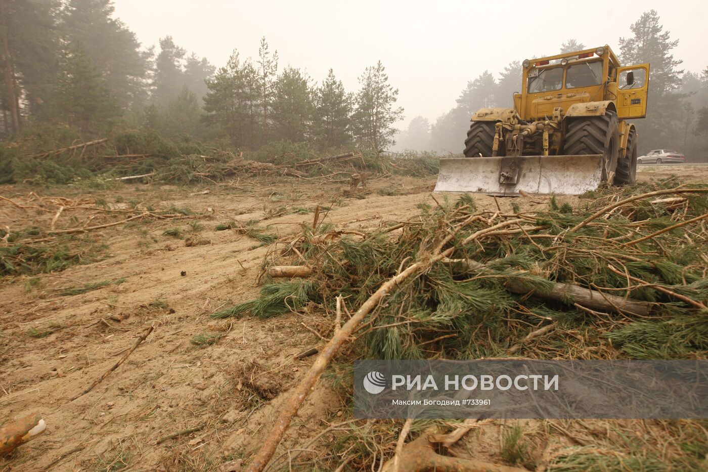 Вырубка леса возле поселка Виля Нижегородской области