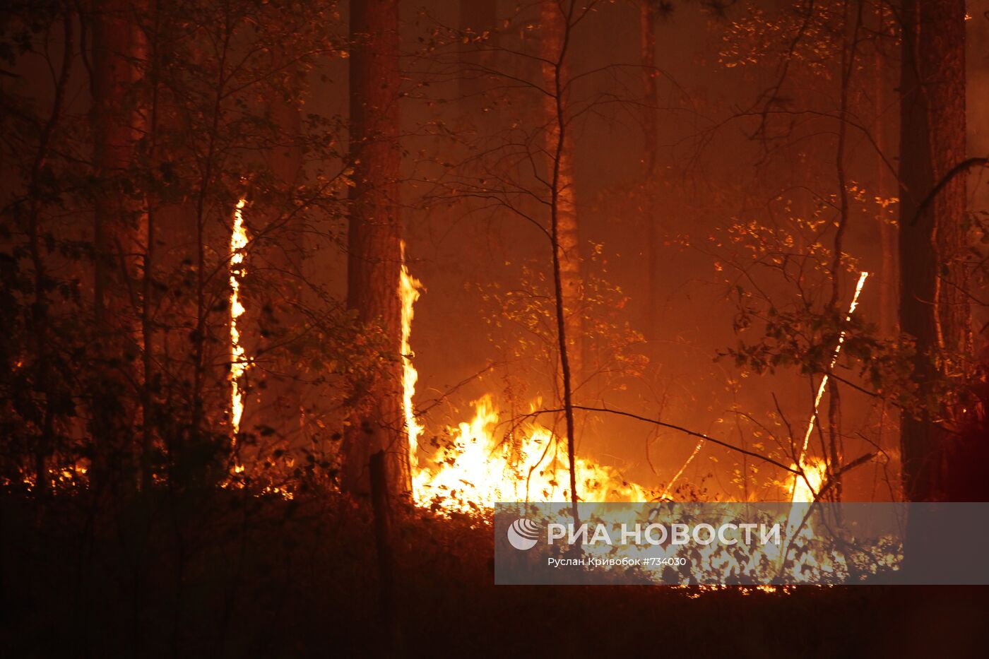 Пожары в Московской области